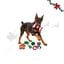 Wonder Christmas Cesto de Brinquedos Premium Brinquedo para c&atilde;es, , large Indicador imagem n&uacute;mero 1
