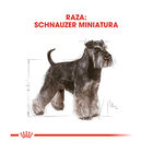 Royal Canin Schnauzer Miniatura, , large image number null
