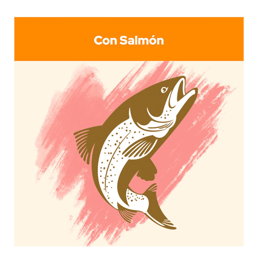 15 kg Cat Chow Adulto Salm&atilde;o ra&ccedil;&atilde;o para gatos, , large Imagem n&uacute;mero 4