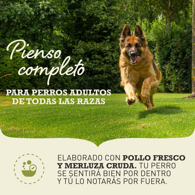 11.4 kg Acana Sport & Agility ração para cães,  Imagem número 2 11.4 kg Acana Sport & Agility ração para cães, , large Imagem número 2
