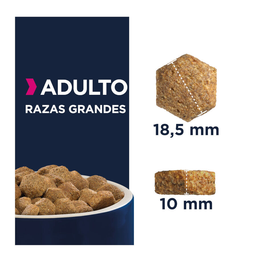 15 kg Eukanuba Adult Large Breed Frango ra&ccedil;&atilde;o para c&atilde;es, , large Imagem n&uacute;mero 4