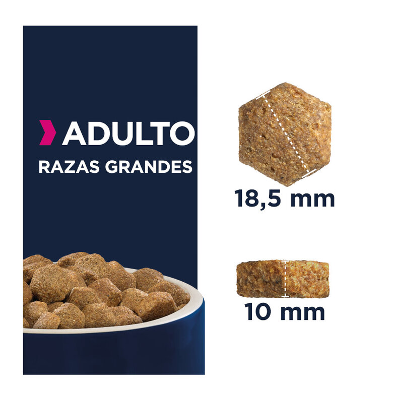15 kg Eukanuba Adult Large Breed Frango ração para cães,  Imagem número 4 15 kg Eukanuba Adult Large Breed Frango ração para cães, , large Imagem número 4