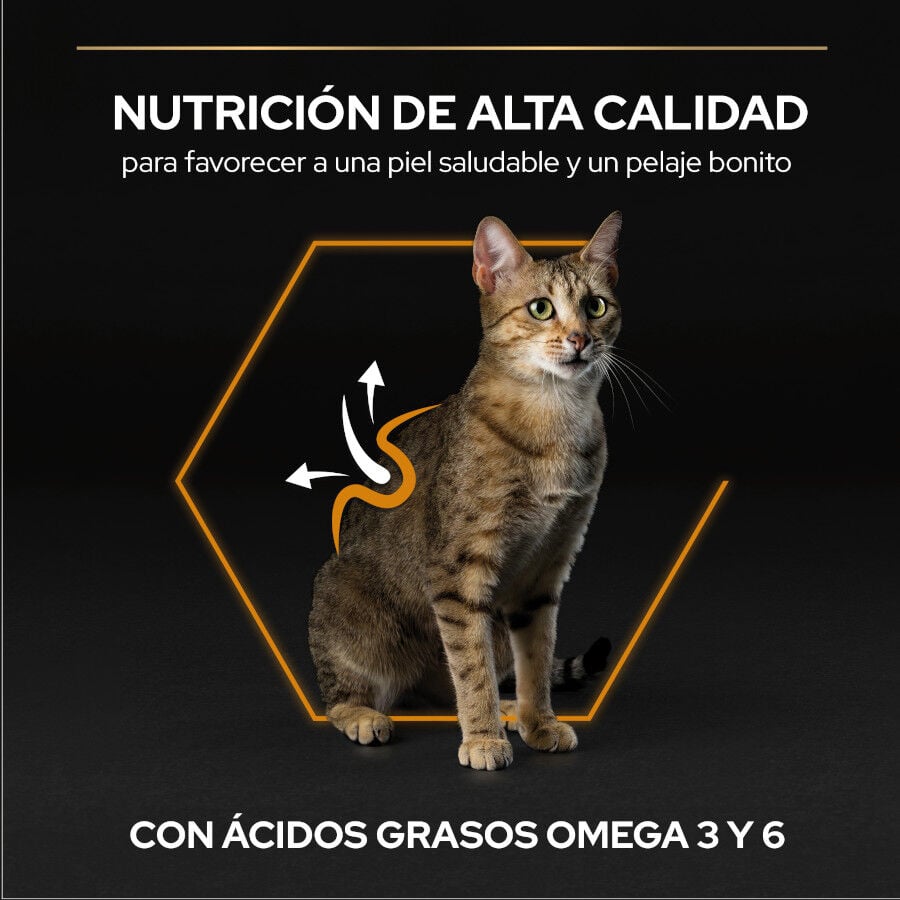 3 kg Pro Plan Adult OptiDerma Salm&atilde;o ra&ccedil;&atilde;o para gatos, , large Imagem n&uacute;mero 6