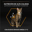 Pro Plan Adult OptiDerma Salmão ração para gatos, , large Indicador imagem número 6