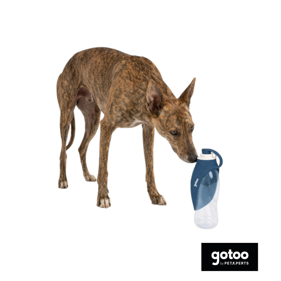Gotoo Garrafa Bebedouro Port&aacute;til em Silicone Azul para c&atilde;es e gatos, , large Imagem n&uacute;mero 7