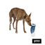 Gotoo Garrafa Bebedouro Port&aacute;til em Silicone Azul para c&atilde;es e gatos, , large Indicador imagem n&uacute;mero 7