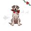 Wonder Christmas C&atilde;o Salsicha XL Peluche para c&atilde;es, , large Indicador imagem n&uacute;mero 1