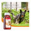 Beaphar óleo de salmão para cães 425 ml, , large Indicador imagem número 3
