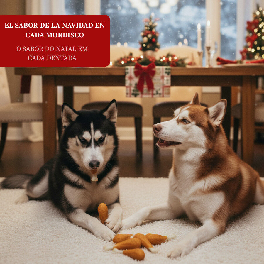 6 snacks Wonder Christmas Asinhas de peru de Natal para c&atilde;es, , large Imagem n&uacute;mero 4