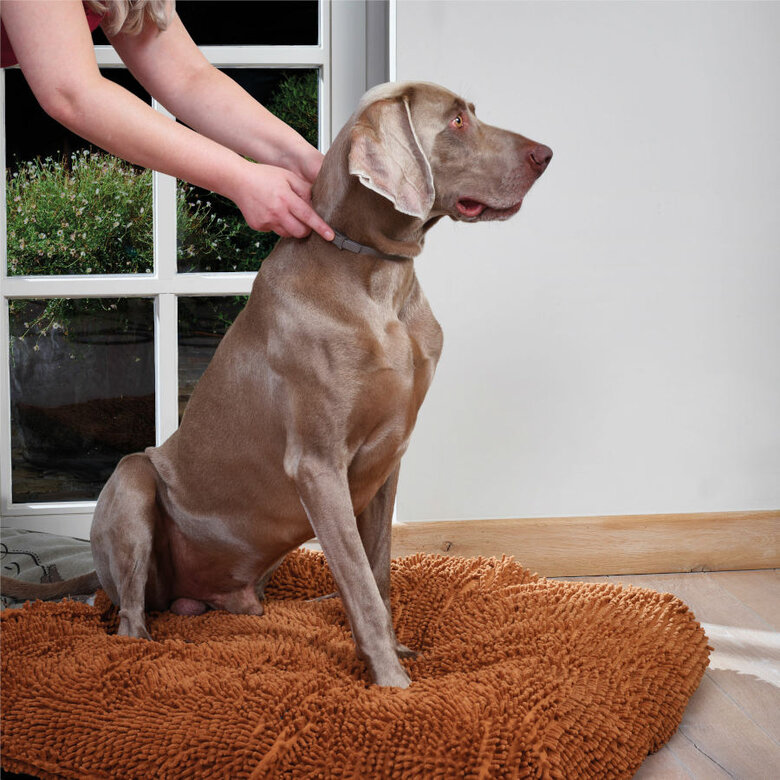 Beaphar CaniComfort Coleira Calmante 45cm para cães ,  Imagem número 5 Beaphar CaniComfort Coleira Calmante 45cm para cães , , large Imagem número 5