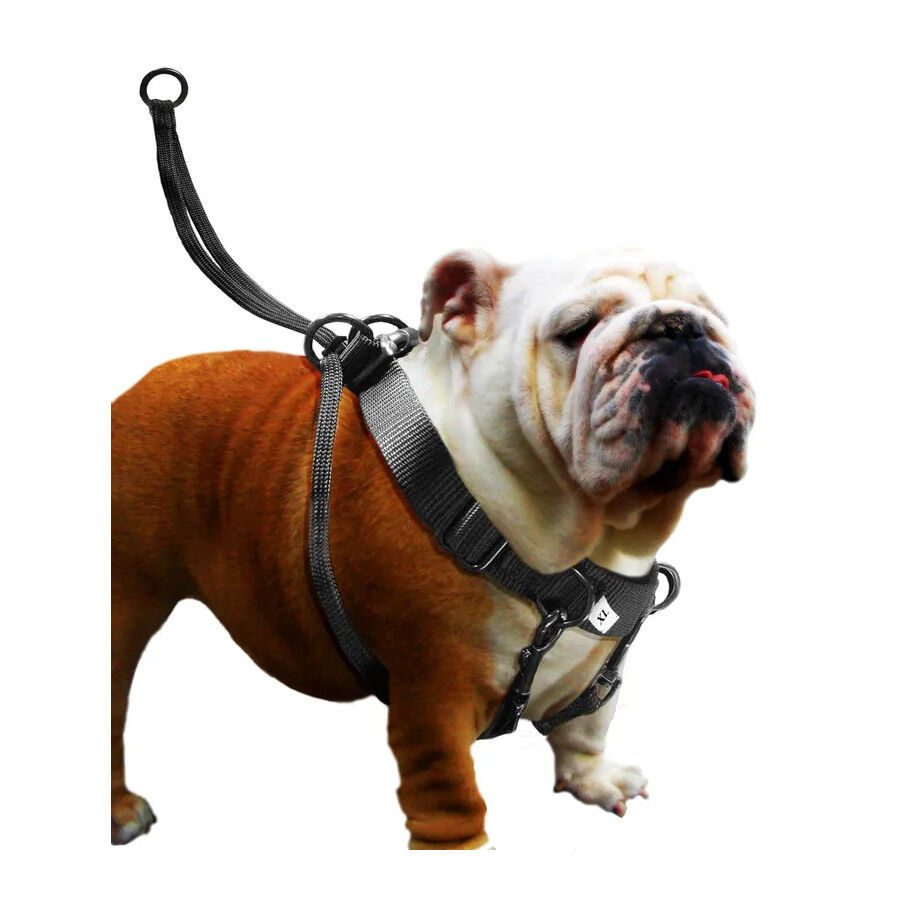 Flamingo Easy Walker Peitoral Preto para c&atilde;es, , large Imagem n&uacute;mero 2