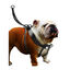 Flamingo Easy Walker Peitoral Preto para cães, , large Indicador imagem número 2