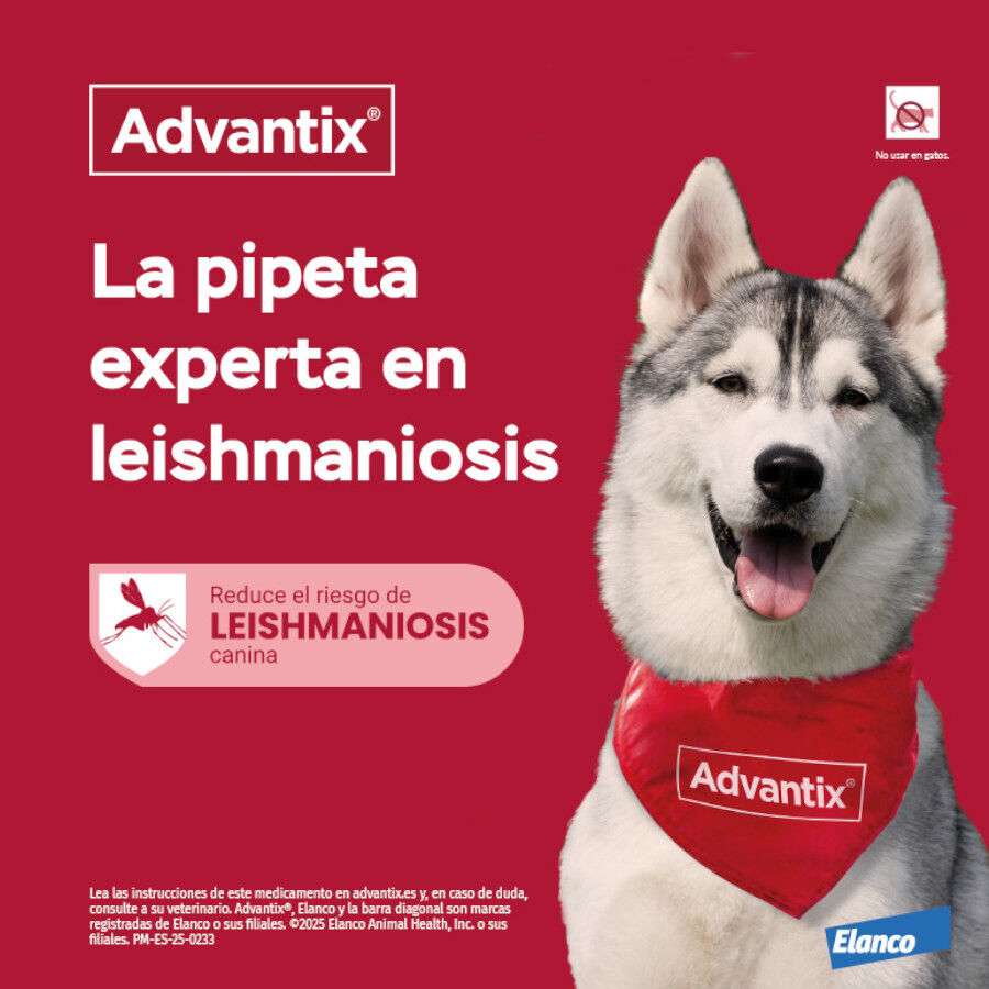 0-4 kg (1 ud.) Advantix Pipetas Antiparasit&aacute;rias para c&atilde;es, , large Imagem n&uacute;mero 4