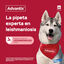 0-4 kg (4 uds.)Advantix Pipetas Antiparasitarias para perros, , large Indicador imagem número 4