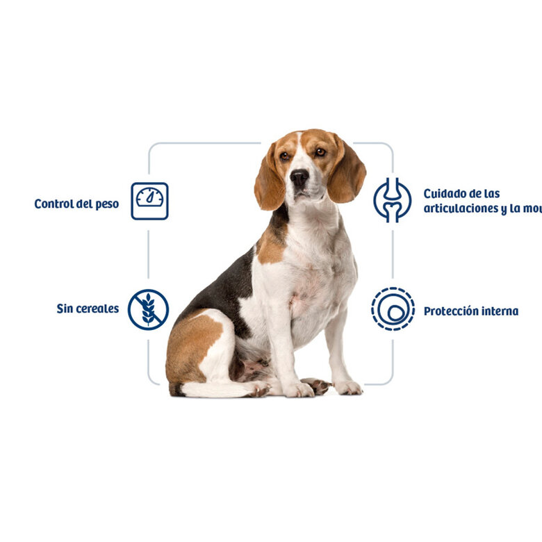 3 kg Nath Adult Medium Maxi Weight Control Frango ração para cães ,  Imagem número 2 3 kg Nath Adult Medium Maxi Weight Control Frango ração para cães , , large Imagem número 2