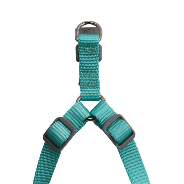 Gotoo Peitoral estampado estrelas verde menta para cães,  Imagem número 6 Gotoo Peitoral estampado estrelas verde menta para cães, , large Imagem número 6