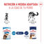 140 g Royal Canin Maxi Puppy Alimento húmido para cães, , large Indicador imagem número 6