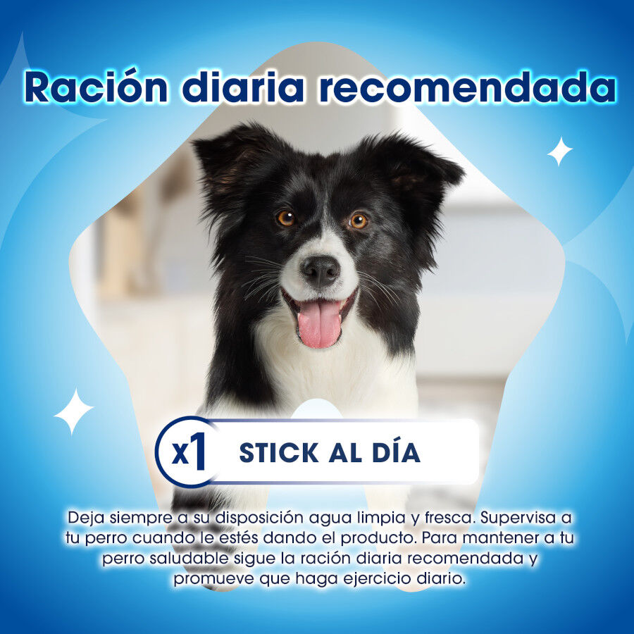 42 sticks Purina Dentalife Medium Multipack para c&atilde;es ra&ccedil;a m&eacute;dia, , large Imagem n&uacute;mero 4