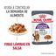 85 g Royal Canin Appetite Control Care molho saqueta para gatos, , large Indicador imagem número 8