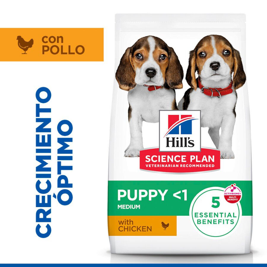 18 kg Hill's Science Plan Puppy Medium Frango ra&ccedil;&atilde;o para c&atilde;es, , large Imagem n&uacute;mero 1
