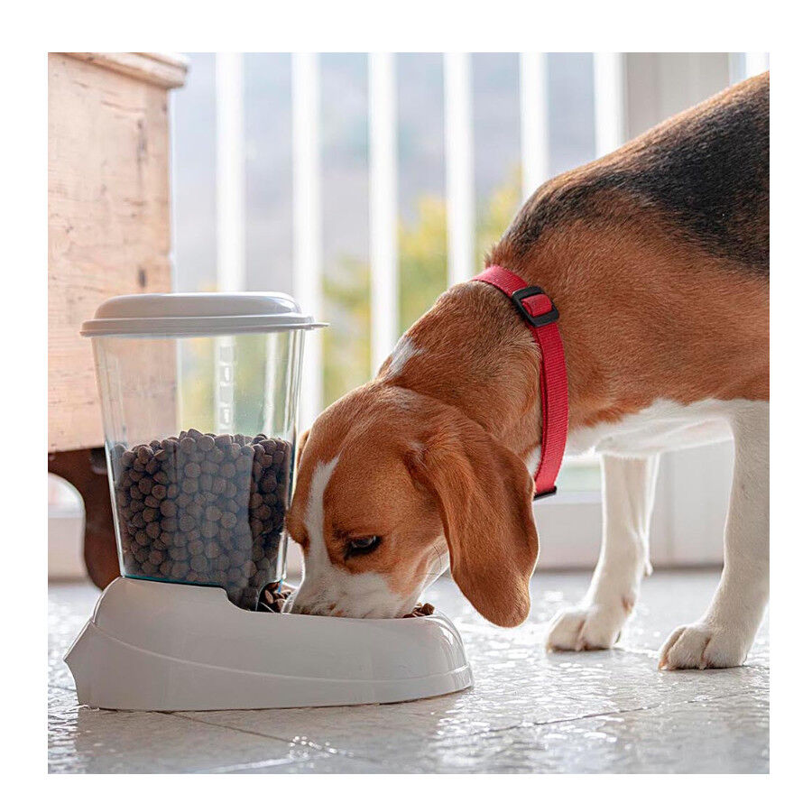 Ferplast Zenith Dispensador de Ra&ccedil;&atilde;o para animais de estima&ccedil;&atilde;o, , large Imagem n&uacute;mero 3