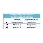 Advance Gastro Forte suplemento cães com diarreia, , large image number null