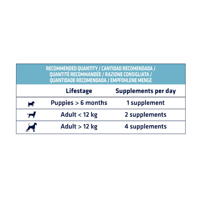 100 g Advance Sticks Gastro Forte para cães com problemas intestinais
,  Imagem número 8 100 g Advance Sticks Gastro Forte para cães com problemas intestinais
, , large Imagem número 8