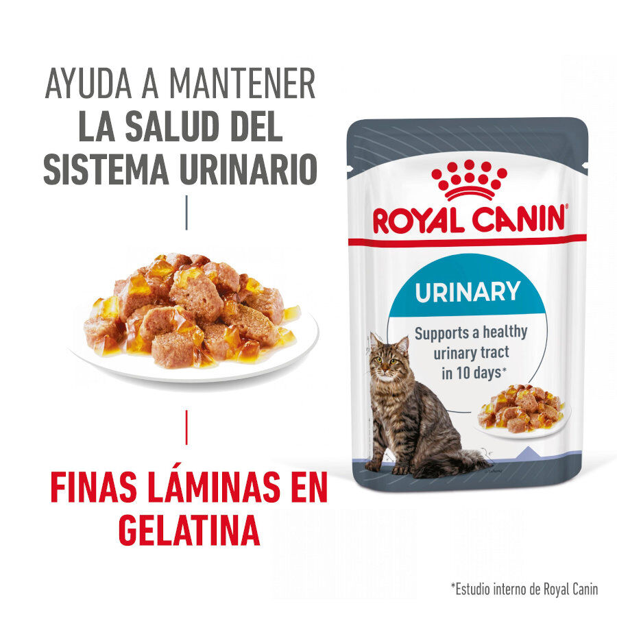 85 g Royal Canin Urinary Care Saquetas em Gelatina para Gatos, , large Imagem n&uacute;mero 2