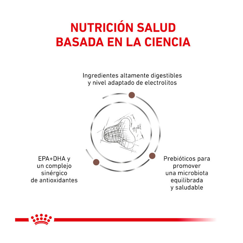 4 kg Royal Canin Veterinary Gastrointestinal Fibre Response ração para gatos,  Imagem número 4 4 kg Royal Canin Veterinary Gastrointestinal Fibre Response ração para gatos, , large Imagem número 4
