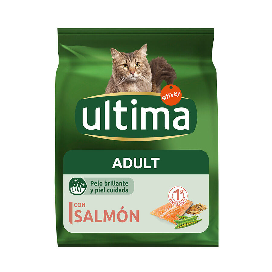 1.5 kg Affinity Ultima Adult Salm&atilde;o ra&ccedil;&atilde;o para gatos, , large Imagem n&uacute;mero 1