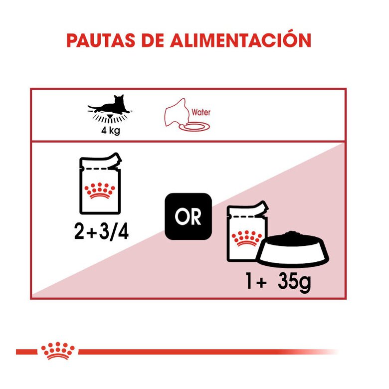 85 g Royal Canin Instinctive alimento húmido em molho saquetas para gatos,  Imagem número 8 85 g Royal Canin Instinctive alimento húmido em molho saquetas para gatos, , large Imagem número 8