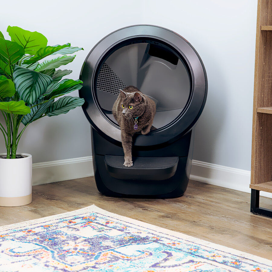 Litter-Robot Caixa de Areia Autom&aacute;tica Preta para gatos, , large Imagem n&uacute;mero 4