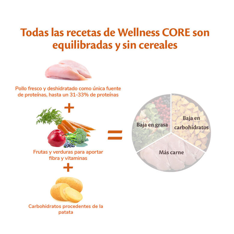 Wellness Core Adult Large Original Frango ração para cães, , large image number null