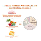 Wellness Core Adult Large Original Frango ração para cães, , large image number null