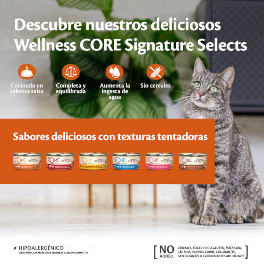 79 g Wellness Core Chunky carne de frango lata para gatos, , large Imagem n&uacute;mero 2