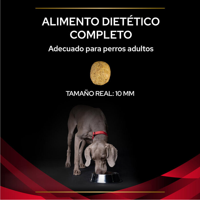 Pro Plan Veterinary Diets DM Diabetic ração para cães, , large image number null