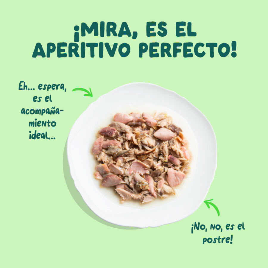 70 g Edgard & Cooper Filetes de Salm&oacute;n y Ceballa Lata para gatos, , large Imagem n&uacute;mero 3