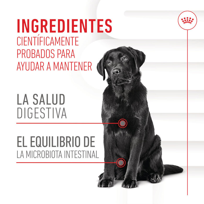 160 g Royal Canin Digestion Chews Suplemento Nutricional para cães com sensibilidade,  Imagem número 8 160 g Royal Canin Digestion Chews Suplemento Nutricional para cães com sensibilidade, , large Imagem número 8