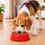 Leeby Comedouro de Pl&aacute;stico Vermelho para c&atilde;es e gatos, , large Indicador imagem n&uacute;mero 1