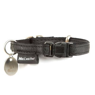 MacLeather Classic Coleira Preta para cães