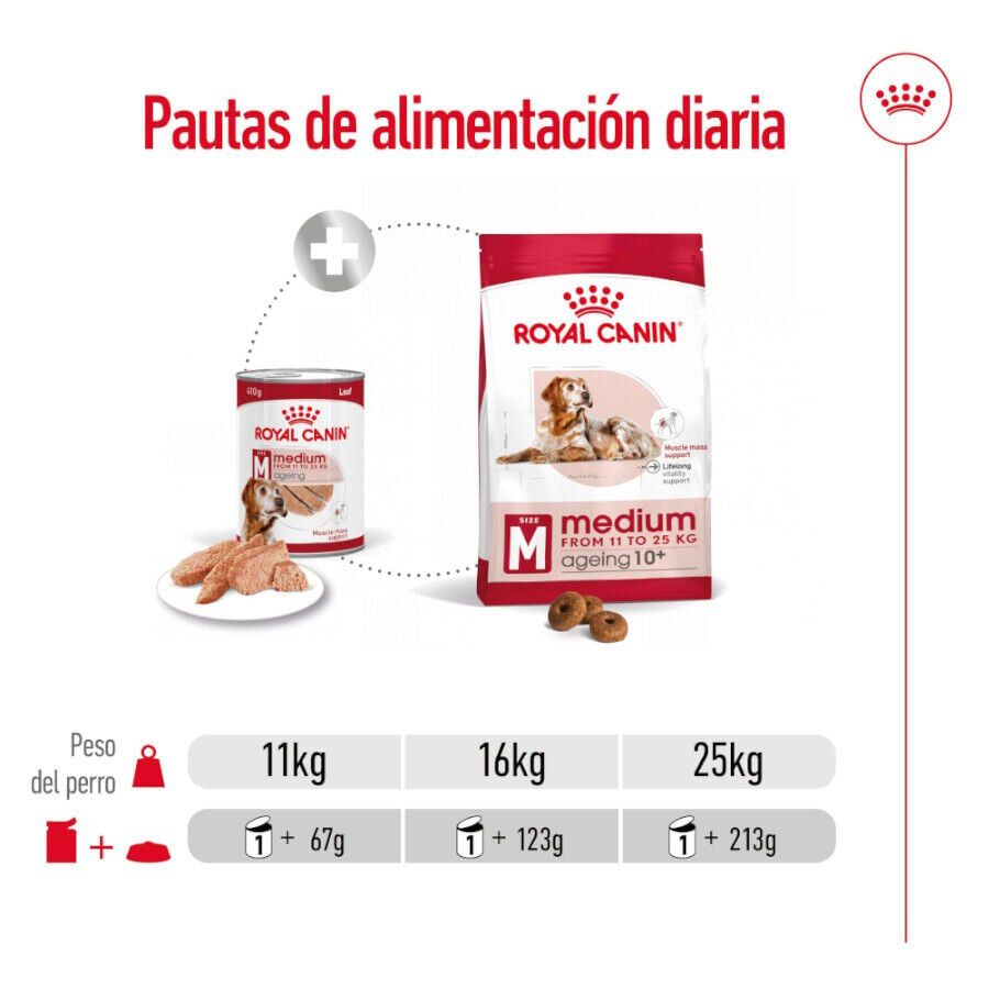 410 g Royal Canin Medium 7+ Ageing lata para c&atilde;es, , large Imagem n&uacute;mero 4