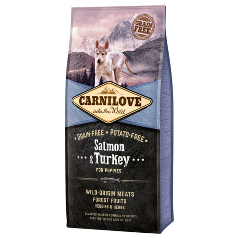 pienso_cachorro_carnilove_salmon_turkey_sin_cereales_CAR150815_M Imagem número 1 Carnilove Salmon & Turkey pienso cachorros Imagem número 1