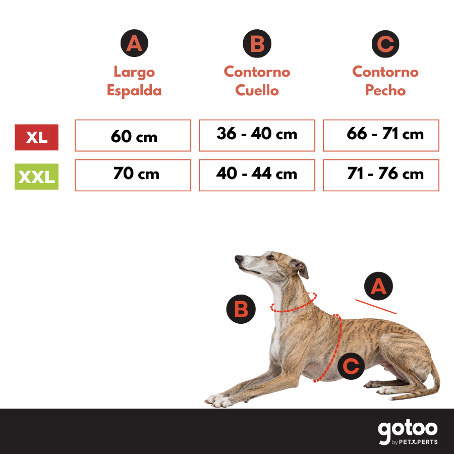 Gotoo Casaco Imperme&aacute;vel Vermelho para galgos, , large Imagem n&uacute;mero 5