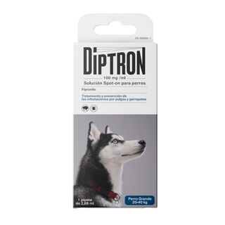 Diptron Spot On Grande Pipeta Antiparasitária para cães