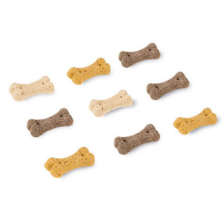 Criadores biscoitos ossinhos de baunilha para cães