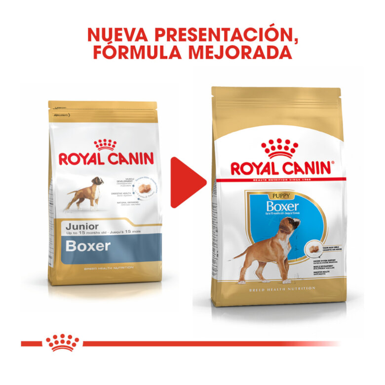 Royal Canin Puppy Boxer ração para cães,  Imagem número 3 Royal Canin Puppy Boxer ração para cães, , large Imagem número 3