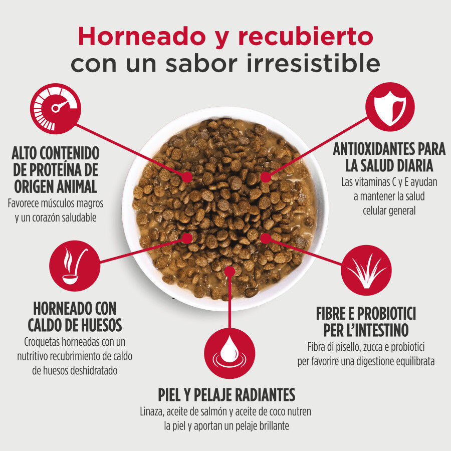 2 kg Nulo Baked & Coated Ra&ccedil;&atilde;o de Frango, Peru e Pato para gatinhos, , large Imagem n&uacute;mero 4