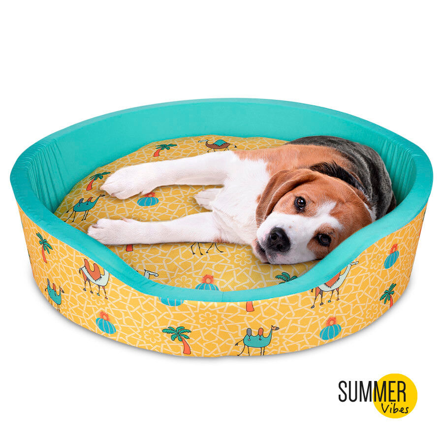 Cama de cachorro refrescante Summer Vibes Camel Fresh, , large Imagem n&uacute;mero 2