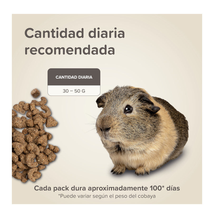 Biophar Care + ra&ccedil;&atilde;o para porquinhos-da-&iacute;ndia, , large Imagem n&uacute;mero 7