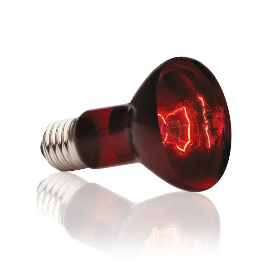 Exoterra Luz Solar infrarroja para terrarios, , large Imagem n&uacute;mero 2